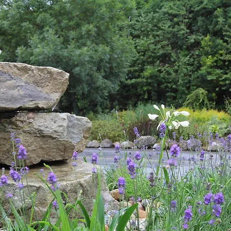 The Manor 3* Abbeyleix