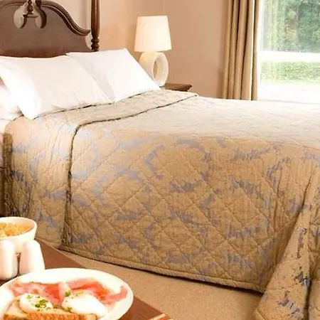 The Manor Hotel Abbeyleix