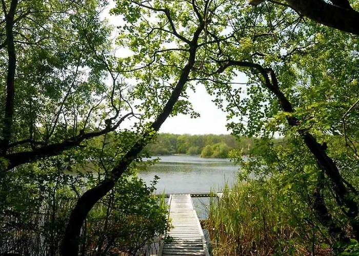 阿比莱克庄园酒店 3* 阿比莱克斯